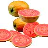 Natural Pink Guava Pulp