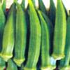 Hybrid Lady Finger Seeds Produces 12 - 14cm Long Lady Finger