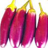 Hybrid Brinjal Seeds Produces Violet-pink Colored Brinjals