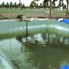 Agricultural Pond Liners