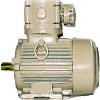 Flame Proof Electric Motors