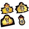 Naval Cap Badges