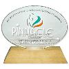 Acrylic Performance Award