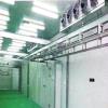 Cold Storage Room