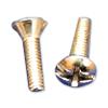 Slotted Head Screws