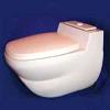 Vacuum Flush Toilet