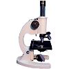 School Microscope