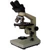 Binocular Microscopes