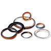 Oil Seals