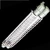 Double Fluorescent Lamp