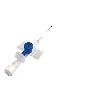 Catheter With Transparent Cannula