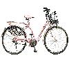 Girls Bicycle With Slim U-Shape Steel Mudguards