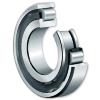 Single Row Cylindrical Roller Bearings With Cage