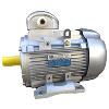 Three Phase Rotomotive Electric Motors