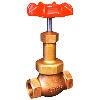 Globe Valve With Backseat Arrangement