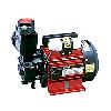 Domestic Monoblock Pumps with Capacitor Start and Run Motor