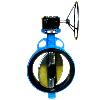 Butterfly Valve With Non Replaceable Seat