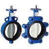 Resilient Replaceable Seat Butterfly Valve