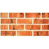 Ceramic Wall Tiles in Brick Elevation Design