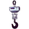 Crane/ Hanging Weighing Scale