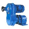 Variable Speed Geared Motors