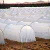 Non-woven Fabrics for Agriculture and Crop Protection