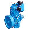 Single/Double Cylinder Water Cooled Diesel Engine