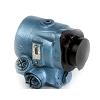 Vane Pump with Compact and Light Weight Construction