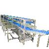 Vegetable Trimming/ Sorting Line Conveyor