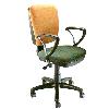 Computer Chair with Back Adjustment