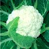 Mid Season Hybrid Cauliflower Seed