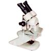 Pole Type Inclined Stereo Microscope