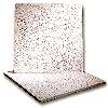 Environmental Friendly Non-Combustible Ceiling Tile