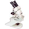 Ge - 59 Rack & Pinion Inclined Stereo Microscope