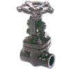 Forged Steel Valve With Hard Facing