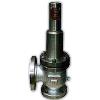 Self Actuating Spring Loaded Safety Relief Valve