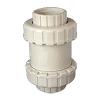 Non-Return Valve With Threaded & Flanged Couplings