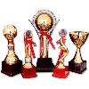 Metal Trophies for Special Occasions