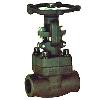 Bonnet Type Forged Globe Valve