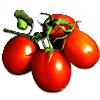 Lycopene Extract Essential Oil