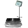 Low Profile Stainless Steel Floor Scale