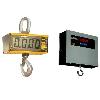 Hanging/ Crane type Electronic Weighing Scale