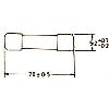 5 X 20 mm Slow Blow/Time Lag Fuse