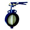 Butterfly Valves with up to 12