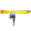 Electrical/ Hand Operated Underslung Crane