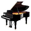 Acoustic Grand Piano with 88 Keys & 3 Pedals