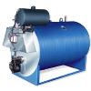 Automatic Gas Fired Hot Water Generator