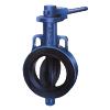 Cast Iron Butterfly Valves