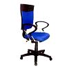 Ergonomic Task Chair