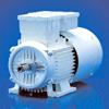 Three Phase Fan-Cooled AC Induction Motor